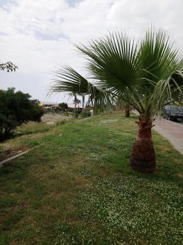 Alanya Homes families only in Mahmutlar