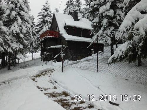 Waldhaus, Ski- und Wanderhütte in Breitenbrunn, Deutschland