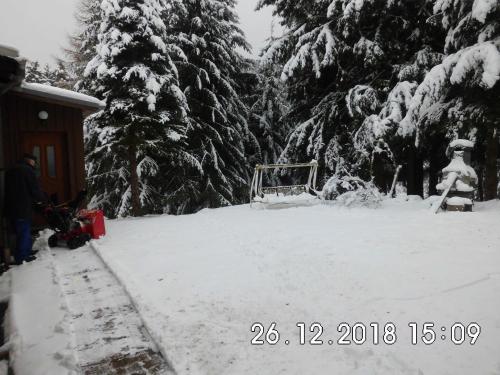 Waldhaus, Ski- und Wanderhütte