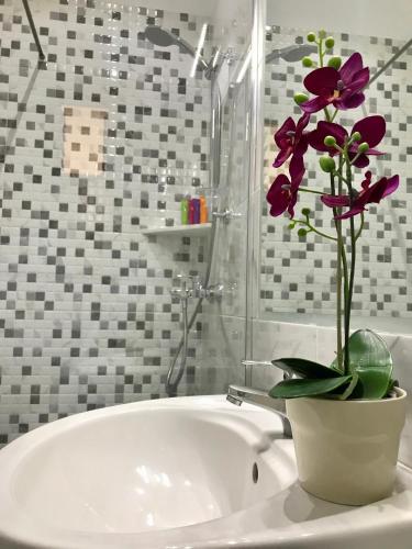 Joy Hotel – Saranda, OR