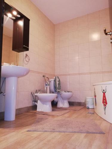 Yvo Lioness & Mamaia Nord - image 4