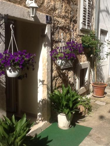  Apartments Senko in Trpanj