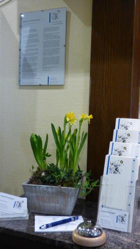 Central Hotel in Worms városközpont