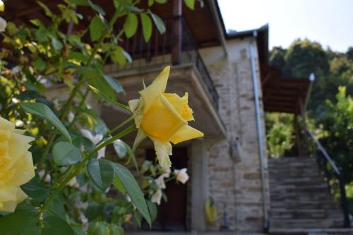  Holiday Home Dionysis in Khorevtón