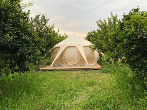  Kamp Lotus in Ortaca