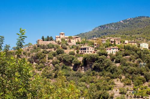 Es Moli - image 8