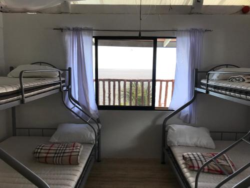 Hostel Lions