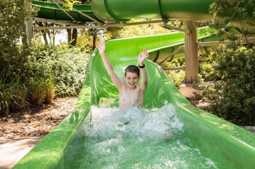 Hyatt Regency Hill Country Resort & Spa image 45
