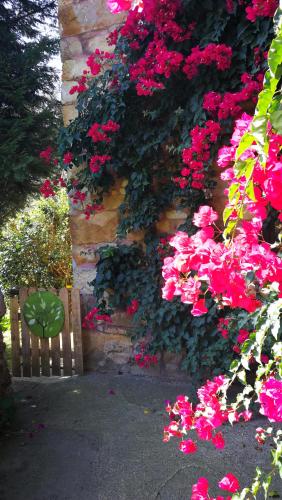  Casa Rural La Posada del Alba in Alea