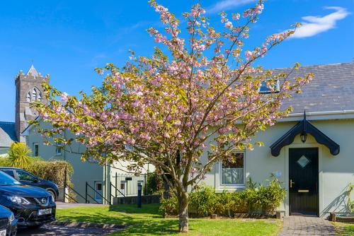 An Capall Dubh B&B Dingle - image 14