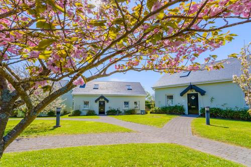 An Capall Dubh B&B Dingle