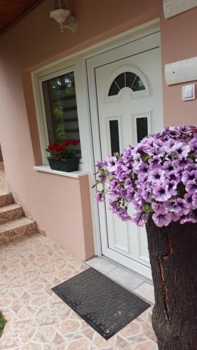 Apartmani Stojanovic photo