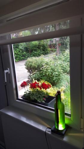 Apartmani Stojanovic photo