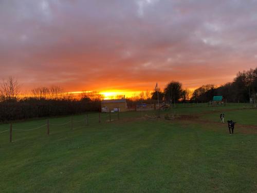 Cherry Tree Glamping