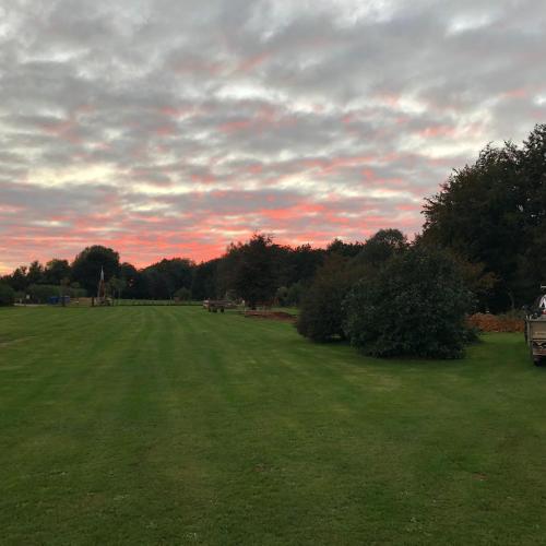 Cherry Tree Glamping