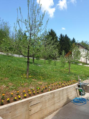 Vacation home Djogic photo 4