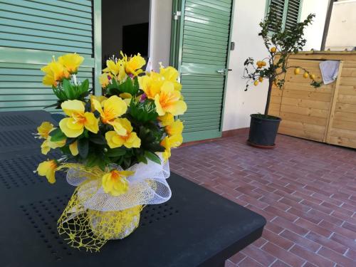  Il Sementone Santa Maria, Ferienwohnung in Assisi