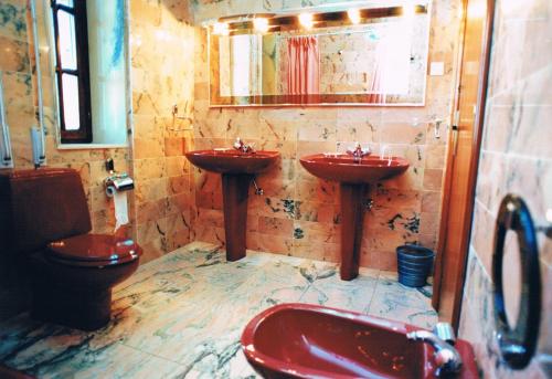 Hotel Antoyana - image 8