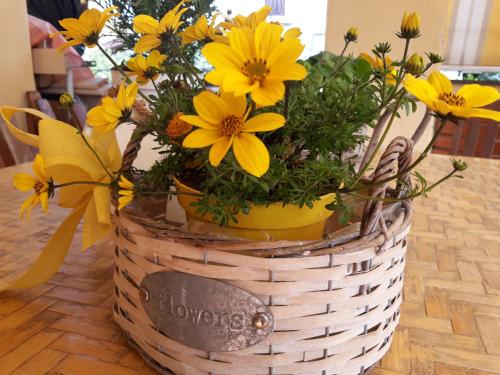 Flowery House - Apartment - Rome