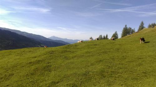 Holzfällerhaus Melkstatt