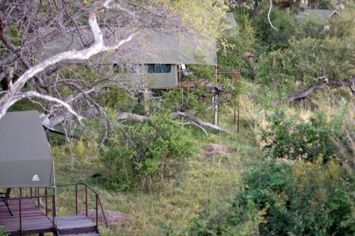 Nkasa Lupala Tented Lodge, Photo | 2026 Updated Prices, Deals