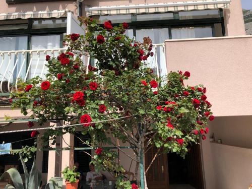 Apartment image 8
