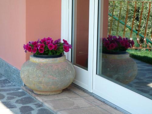La Vignana - 5 Terre - image 3