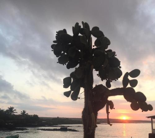 New Galapagos Hostelling Over view