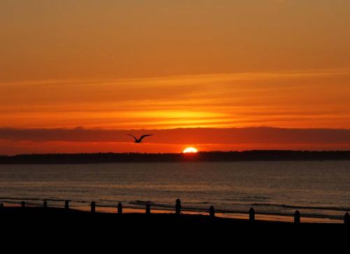 The Skylark Beach Inn