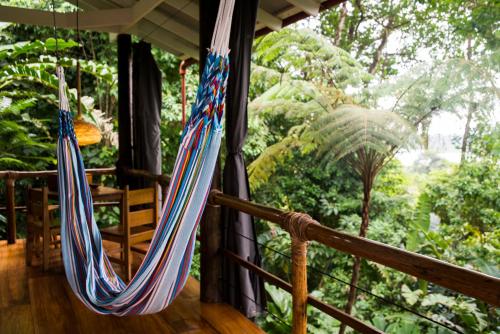 La Loma Jungle Lodge and Chocolate Farm