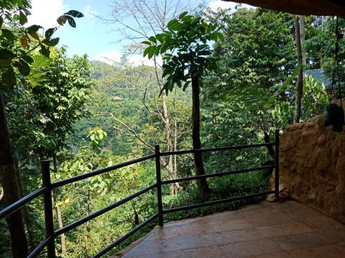 On The Rocks Bungalows, Restaurant and Jungle Trekking Tours