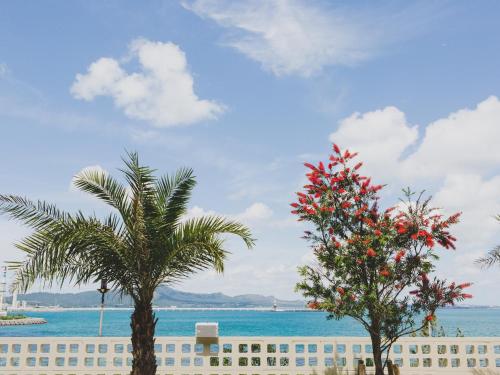 195069920 Hideout Okinawa Uruma