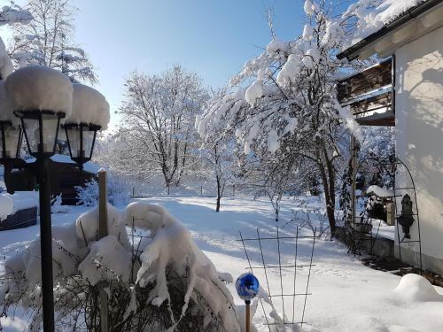 Doris & Michael Doris & Michael