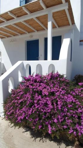 Anais, Mykonos (fotografie 6)
