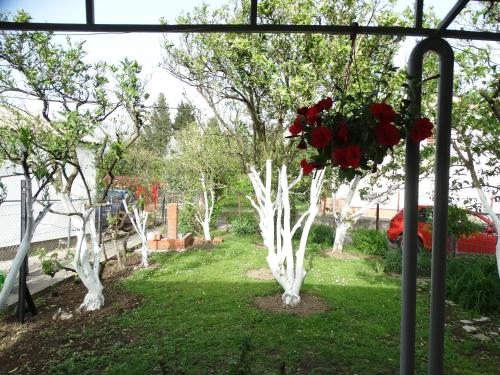 Apartman Zorana - image 4