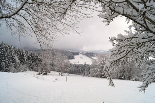 Stoahauerhof in Grainet, Deutschland
