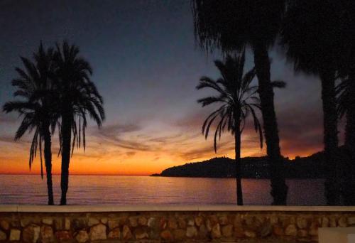 Arrayanes Playa - image 7