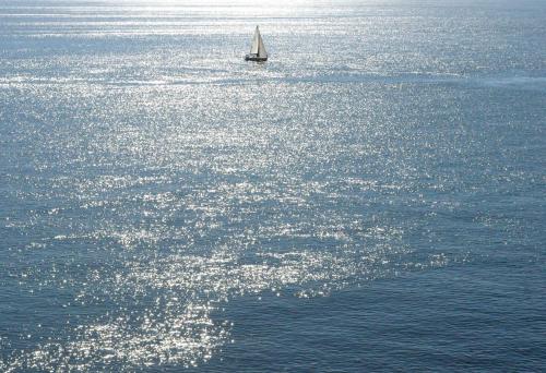 Arrayanes Playa - image 4
