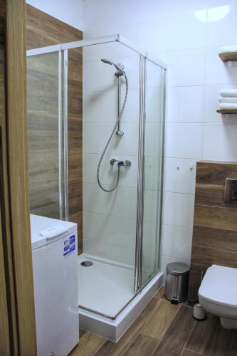 Apartamenty Polanka - Apartment - Poznań