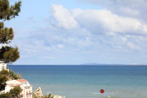 Hotel Il Piccolo Paradiso del Gargano - image 8