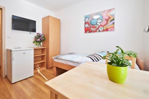 Apartmány Ubytování Alfa, Praga (foto 6)