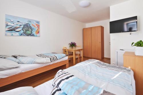 Apartmány Ubytování Alfa, Praga (foto 5)