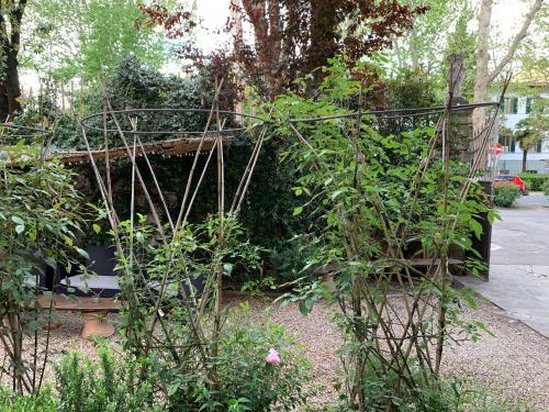 Hotel David - image 9