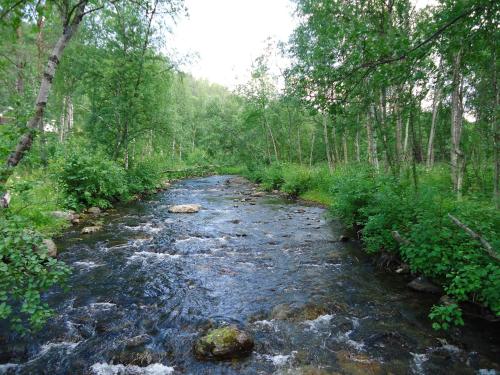 Gargia Lodge - image 5
