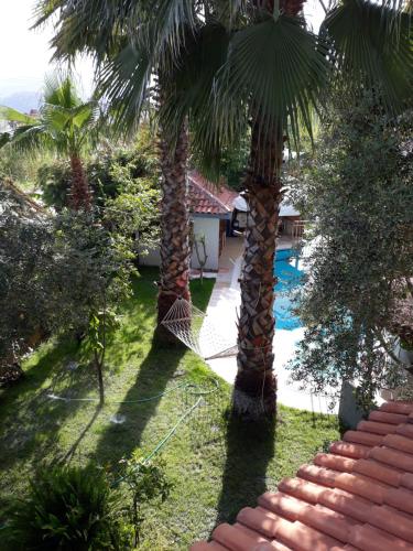 Jasmin Apart - image 8