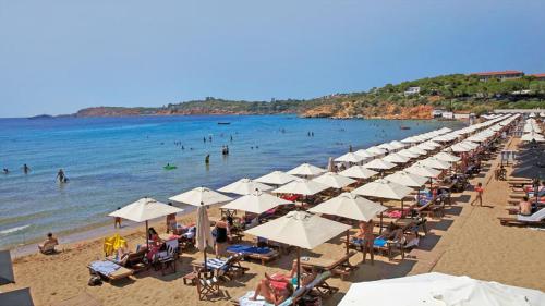 Αnna's Home 2 .Holidays in beautiful Athens