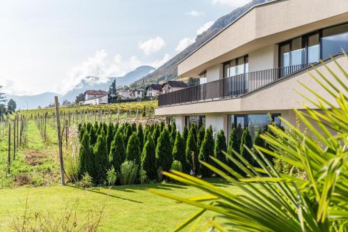 Hof im Kalch Tramin, Termeno (foto 6)