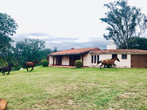 Casa de Montaña