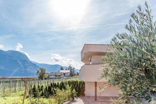Hof im Kalch Tramin, Termeno (foto 4)