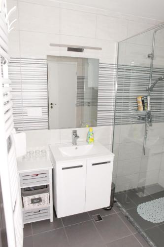 Apartman Kupa in 卡洛瓦克